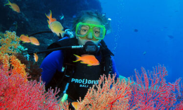 3 Days/2 Night Dive Safari