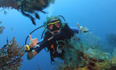 2 Days/1 Night Dive Safari