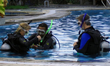 Special Offer : PADI Open water course