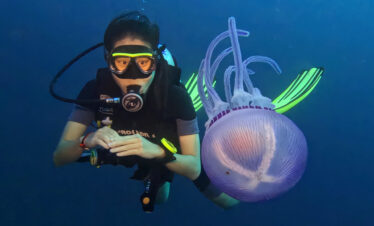 5 Days/4 Night Dive Safari